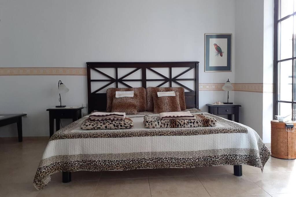 Studio At "The Cliff" Complex South Beach Obzor, Private Appartment A2A5 Zewnętrze zdjęcie